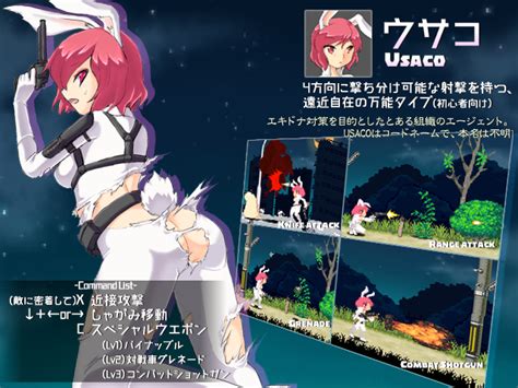 Echidna Wars DX [v1.11] [D.
